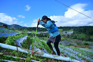 BIB: 147
                            <button type="button" onclick="openModal(13380339)" class="btn btn-primary btn-sm float-right btn-popup" data-toggle="modal" data-target=".modal-high-quality">
                        <i class="fas fa-shopping-cart"></i> Add to Cart
                    </button>
                                            <button type="button" onclick="isThisMe(13380339, true)" class="btn btn-success btn-sm float-right btn-popup btn-isme hidden" data-toggle="tooltip" data-placement="bottom" title="นี่คือรูปของคุณใช่ไหม คลิกที่นี่เพื่อเอาเข้าอัลบั้ม">
                        <i class="fas fa-plus"></i> Add to album
                    </button>
                    <button type="button" onclick="isThisMe(13380339, false)" class="btn btn-warning btn-sm float-right btn-popup btn-isnotme hidden">
                        <i class="fas fa-ban"></i> Remove from album
                    </button>